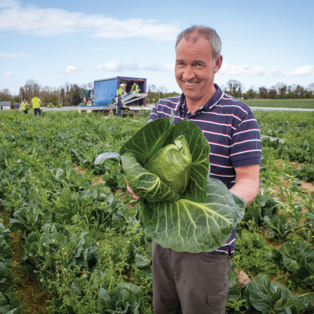 Gra grower holding cabbage in a field