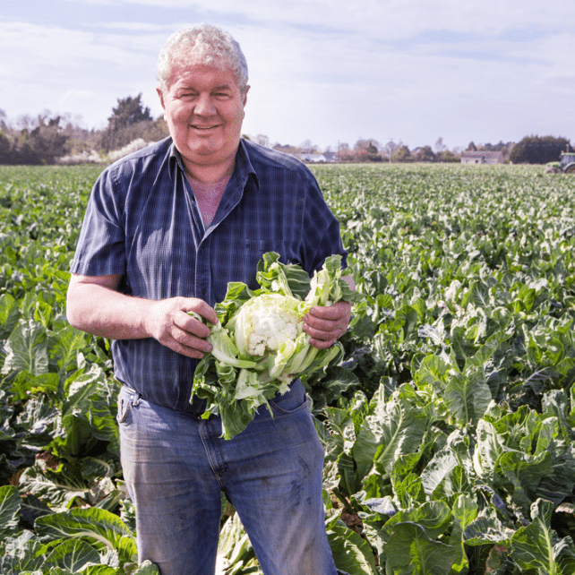 Gra grower standing in field of fresh produce holding a cauliflower