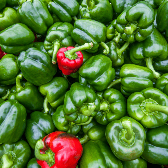 Close up shot of green and red peppers