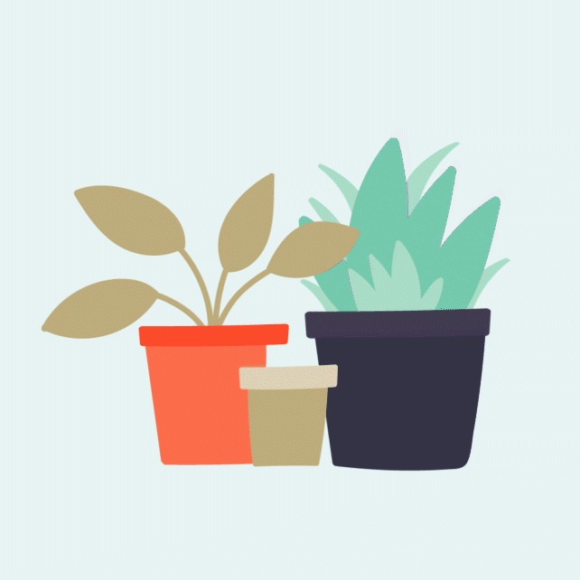Animation of illustrated plants growing in clay pots